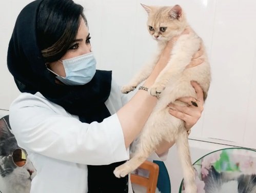 دامپزشکی و پت شاپ در بروجرد خانم دکتر رشیدی