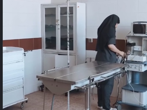 بیمارستان دامپزشکی لرستان | دامپزشکی های لرستان 