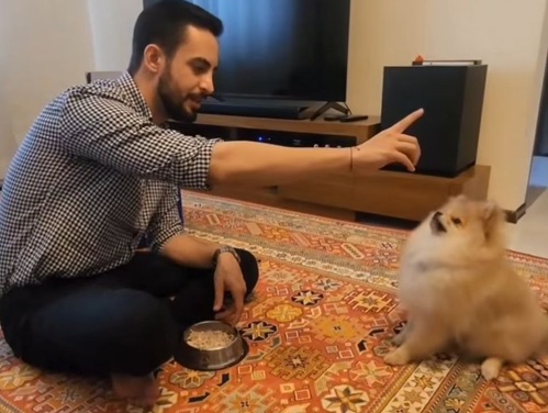 مربی سگ و آموزش سگ در تهران مرزداران نیما حسین زاده 