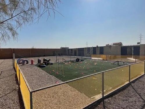 هتل پانسیون حیوانات خانگی سپینا یزد