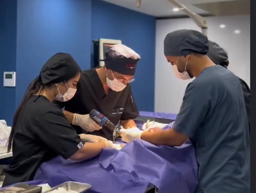 کلینیک دامپزشکی دکتر افراشته در رودسر گیلان