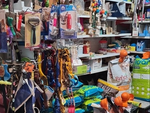 پت شاپ و فروشگاه حیوانات آواپت در نارمک | پت شاپ نارمک