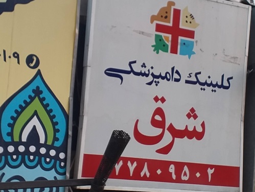 پت شاپ پت شرق در نارمک و رسالت