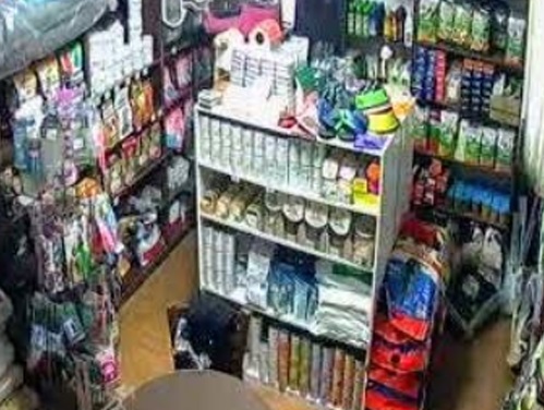 پت شاپ پت شرق در نارمک و رسالت