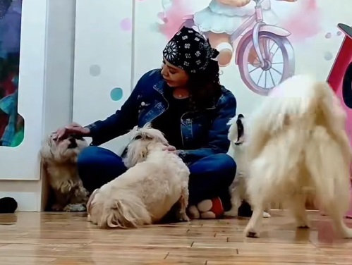 پانسیون حیوانات توت فرنگی در تهرانپارس غربی