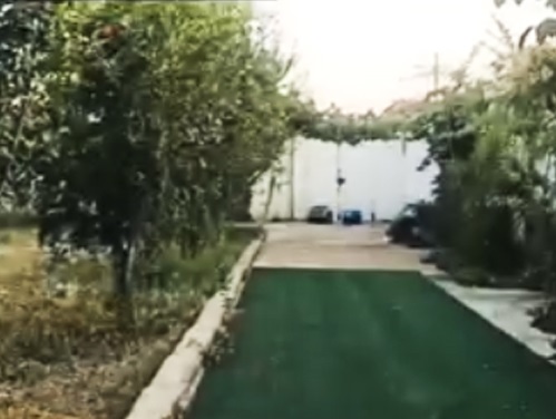 پانسیون سگ شیراز| پانسیون و داگ پارک سگ در شیراز فیدل و میو