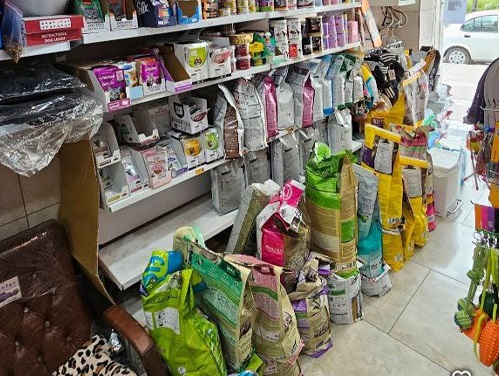 پت شاپ و فروشگاه حیوانات پیچا در لاهیجان