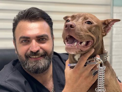 دکتر سید پویا پورسیدرضا جراح دامپزشک (DVM) رشت