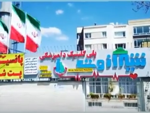 پت شاپ و کلینیک دامپزشکی شیراز وت در شیراز