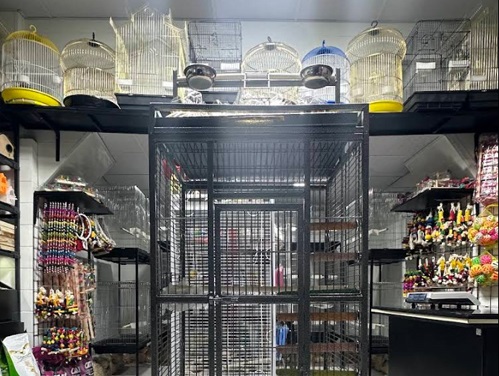 پت شاپ آمازون در ملایر همدان 