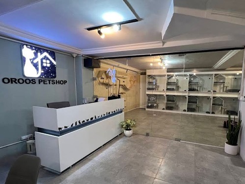 پانسیون حیوانات اروس در اندیشه | پانسیون تخصصی گربه