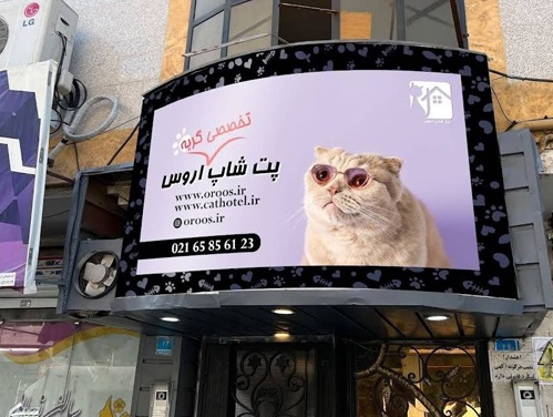 پت شاپ و پانسیون گربه اُروس در اندیشه