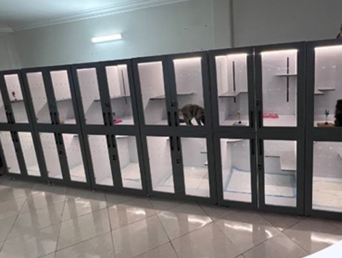 پانسیون سگ و گربه در هنگام میدان رسالت شرق تهران 