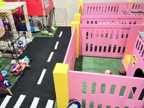 پانسیون حیوانات در غرب تهران  | پانسیون سگ و گربه مرزداران 