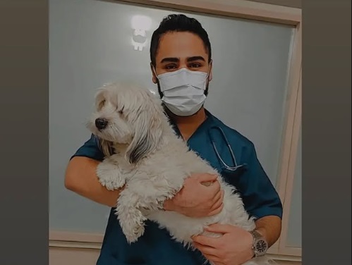 کلینیک دامپزشکی و پت شاپ ملارد | دامپزشکی در کرج