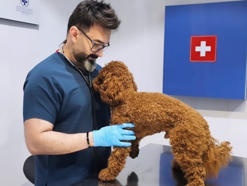 کلینیک دامپزشکی قم دکتر مهدی مقدم