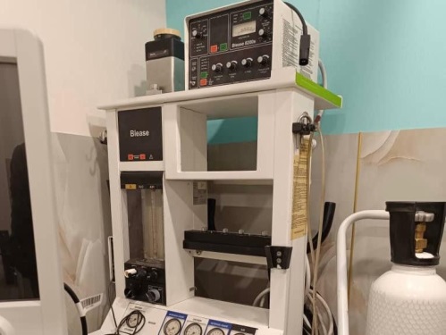 مجتمع دامپزشکی شبانه روزی ایزی وت در رشت