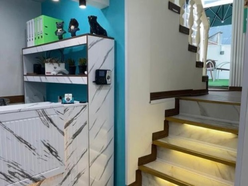 مجتمع دامپزشکی شبانه روزی ایزی وت در رشت