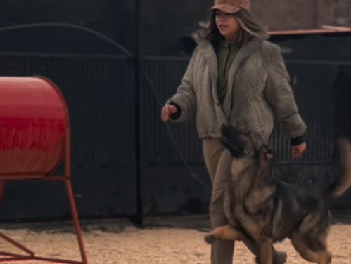 آموزش حرفه ای سگها در اصفهان - مربی سگ اصفهان نگار آریانپور