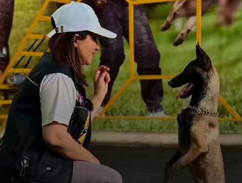 مربی سگ در اصفهان، مربی سگهای کوچک و بزرگ در اصفهان خانم مقدم