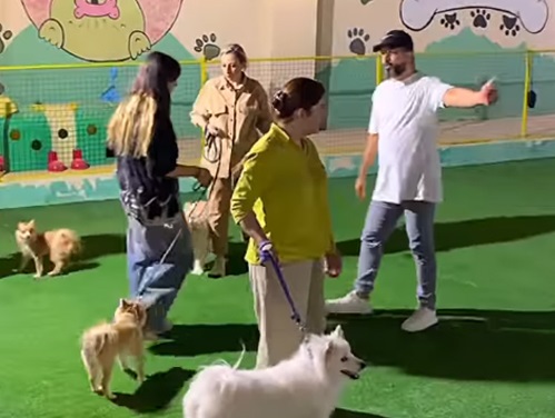 مربی سگ در اصفهان - آموزش به سگها در اصفهان حمید سلطانی 