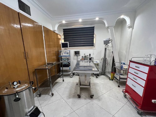 دامپزشکی شبانه روزی کوروش در اندیشه و ملارد 