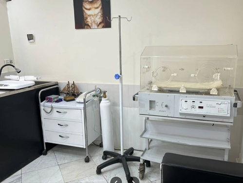 بیمارستان دامپزشکی شبانه روزی و مجهز کوروش در ملارد و اندیشه 