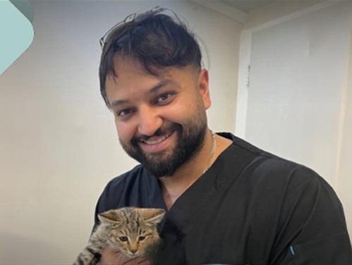 دامپزشکی شبانه روزی کوروش در اندیشه و ملارد 