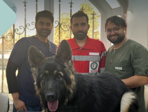 بیمارستان دامپزشکی شبانه روزی و مجهز کوروش در ملارد و اندیشه 