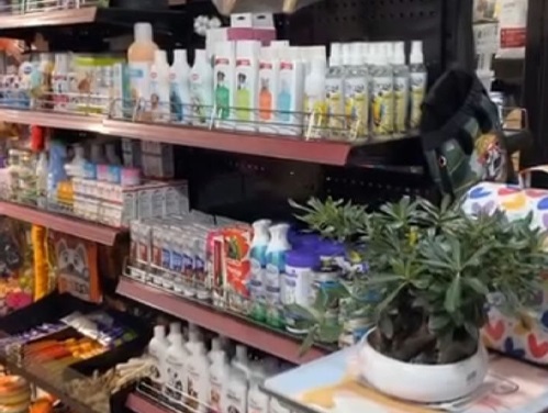 پت شاپ و آرایشگاه پت سوییتی در همدان | پت شاپ در همدان