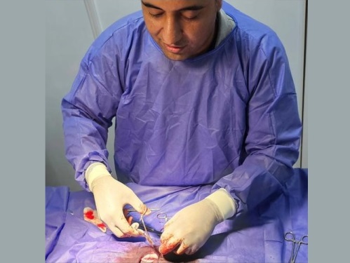 کلینیک دامپزشكی دكتر نوروزی در سعادت آباد