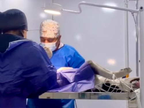 کلینیک دامپزشكی دكتر نوروزی در سعادت آباد