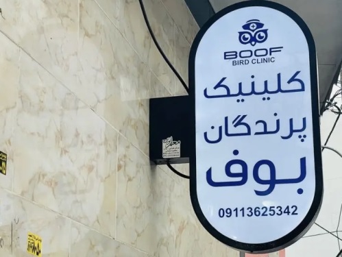 کلینیک دامپزشکی اختصاصی پرندگان بوف در رشت