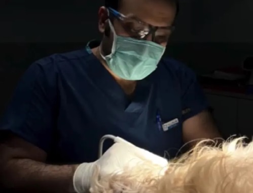 کلینیک دندانپزشكى تخصصی حيوانات دكتر بيداد در نیاوران