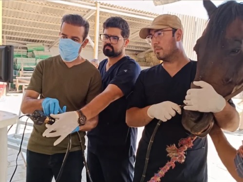 مجتمع درمانی دامپزشکی ارومیه +