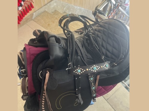 مجتمع درمانی دامپزشکی ارومیه +