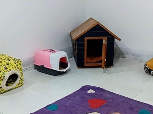 پانسیون حیوانات پاندا در مشهد