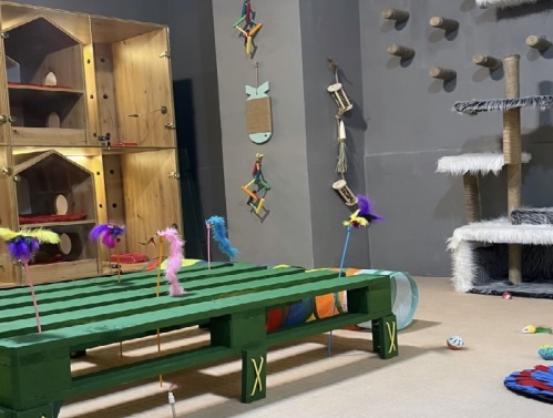 پانسیون خانگی سگ و گربه هپی هتل در تهرانپارس