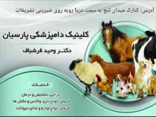 کلینیک دامپزشکی و پت شاپ پارسیان در کنارک