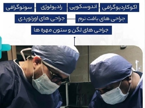 کلینیک دامپزشکی شهر در گوهردشت کرج