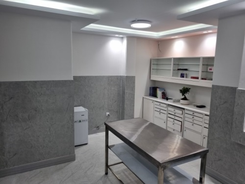 کلینیک دامپزشکی دنا در سعادت آباد