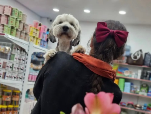 کلینیک دامپزشکی پت کوچولو  (دکتر سلطانی) در اصفهان