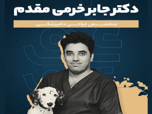 کلینیک دامپزشکی دنا در سعادت آباد