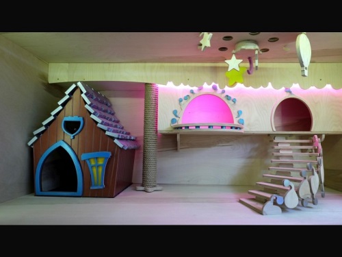 پانسیون حیوانات ترنج در اندرزگو