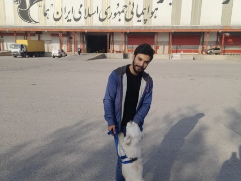پوکو پت تراول - خدمات سفر با حیوانات خانگی