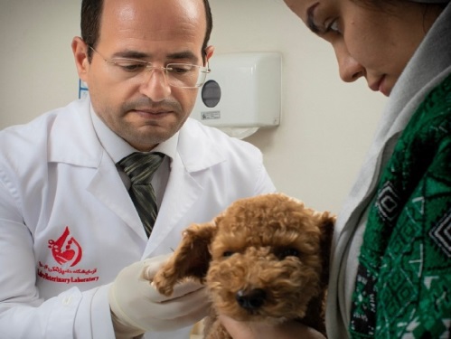 آزمایشگاه دامپزشکی لابرا در ستارخان