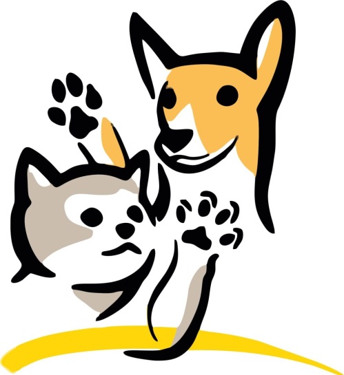 پت شاپ آنلاین پنجه ثبت شده در پت لینک 