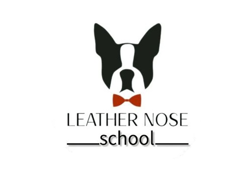 مربی سگ در مدرسه دماغ چرمی های مشهد مهران چالوک | پت لینک 