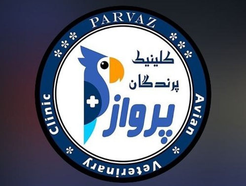 کلینیک دامپزشکی پرندگان پرواز در قم | دامپزشکی های قم
