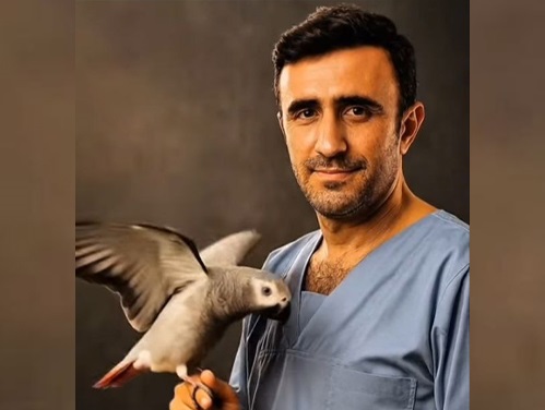 کلینیک پرندگان پرواز قم | petlink.ir